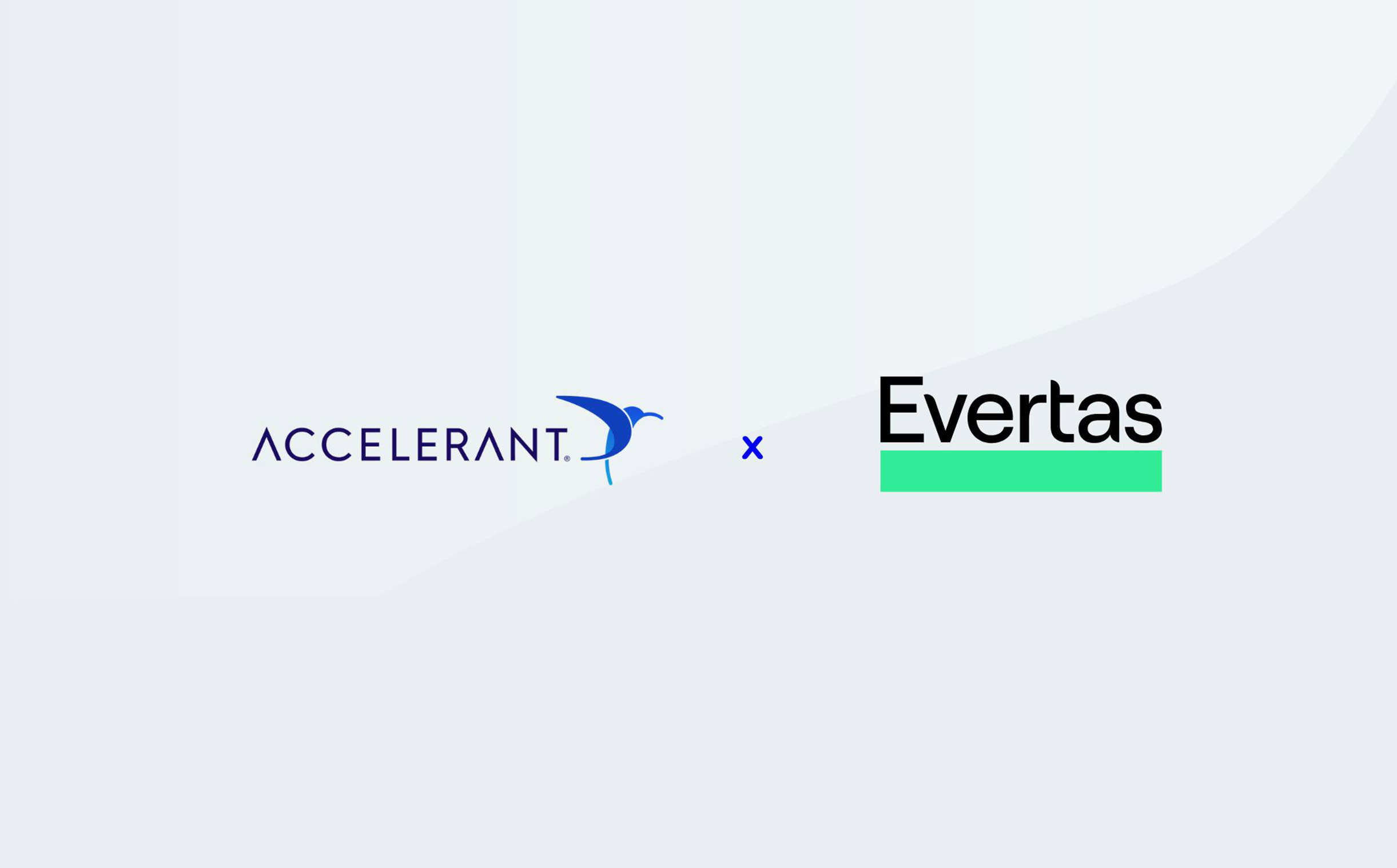 Member Stories: How Accelerant Supports Evertas in Compliance and ...